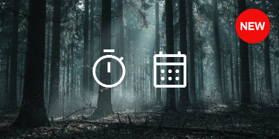 Misty forest with stopwatch and calendar icons - Ora Serena time tracking app